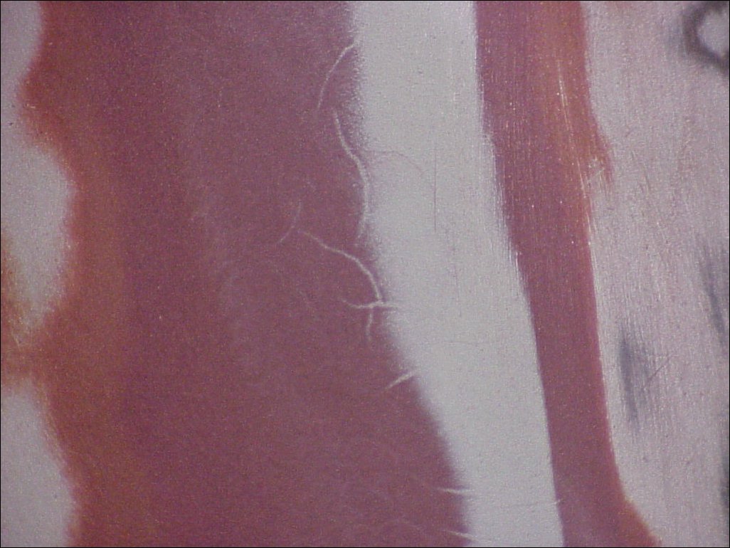001-673X.JPG