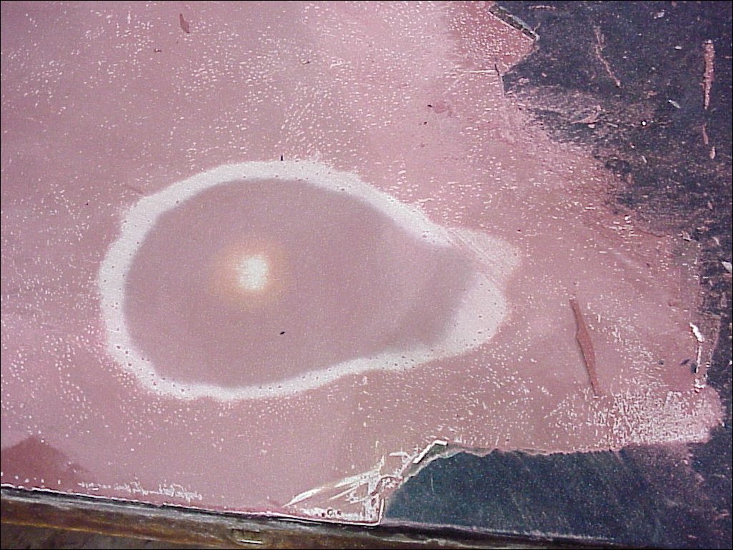 001-694X.JPG