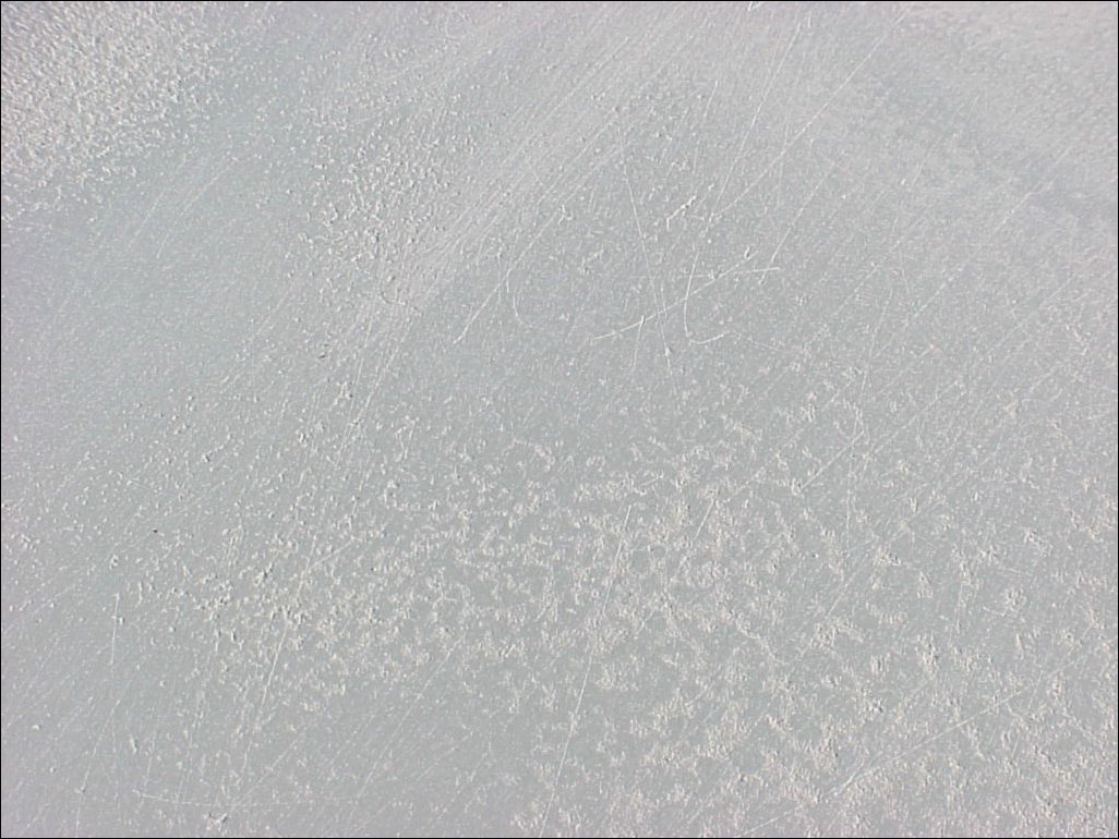 001-731X.JPG